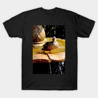 Splish Splash T-Shirt